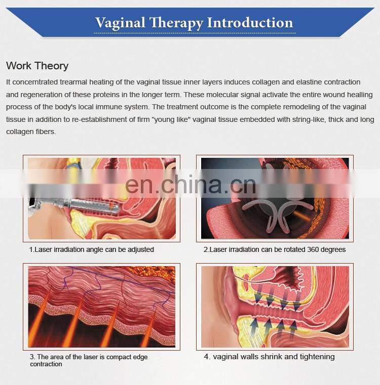 Wholesale price vaginal tightening Fractional CO2 laser
