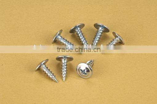 China manufacturer self tapping screw for aluminum