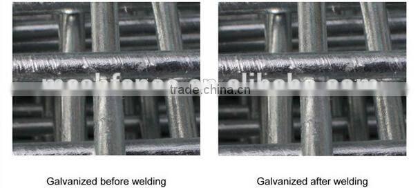 2x2 high quality galvanized/pvc coated concrete reinforcing welded wire mesh