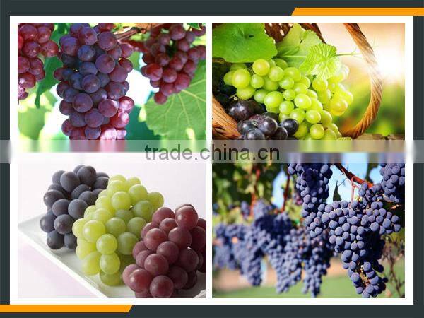 Leader high quality grape crusher machine