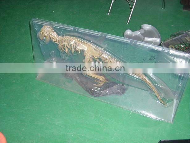 Transparence PVC blister packing box