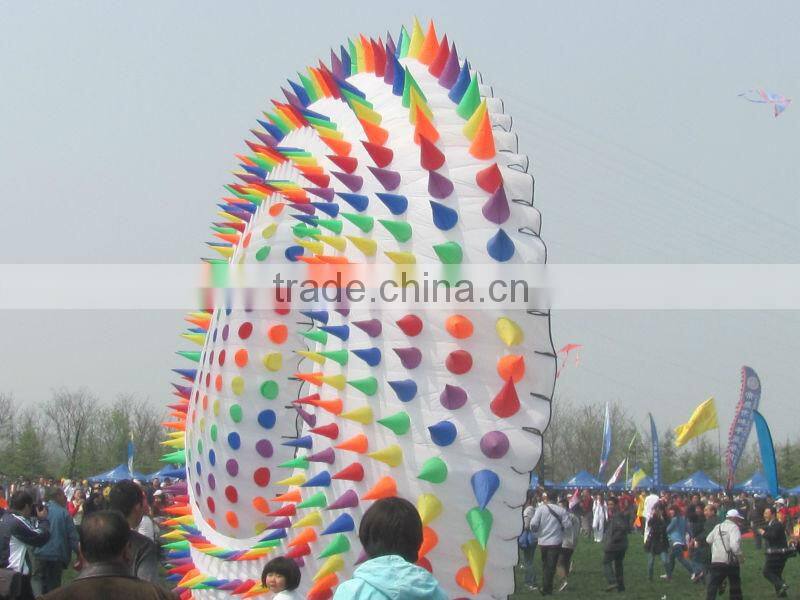 10m ring kite