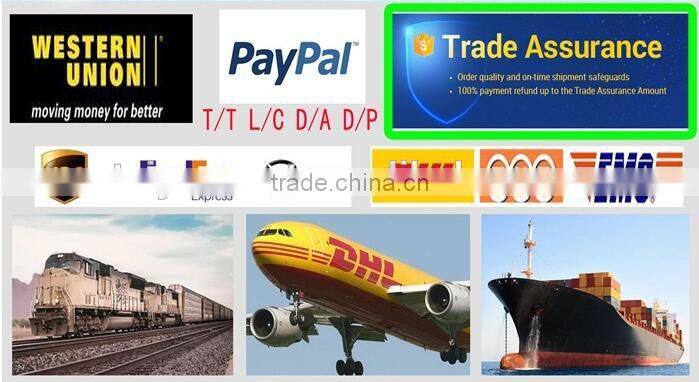 ATV Racing Quad 200cc 4x4 shaft drive fully automatic