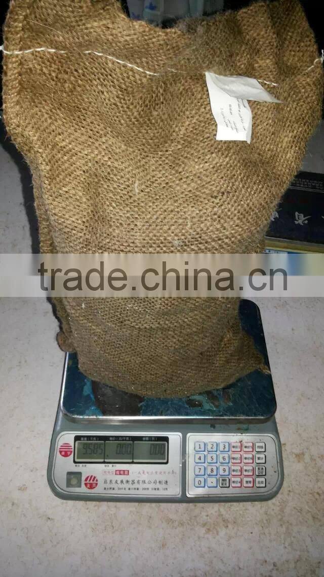 high quality 5kg gunny bag fresh chinese chestnut for Jordan