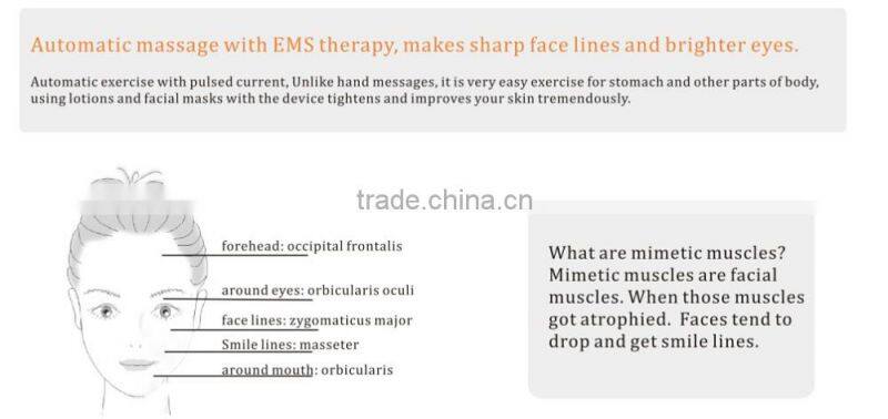 Smart digital LCD diplay Titanium probes EMS TENS equipment