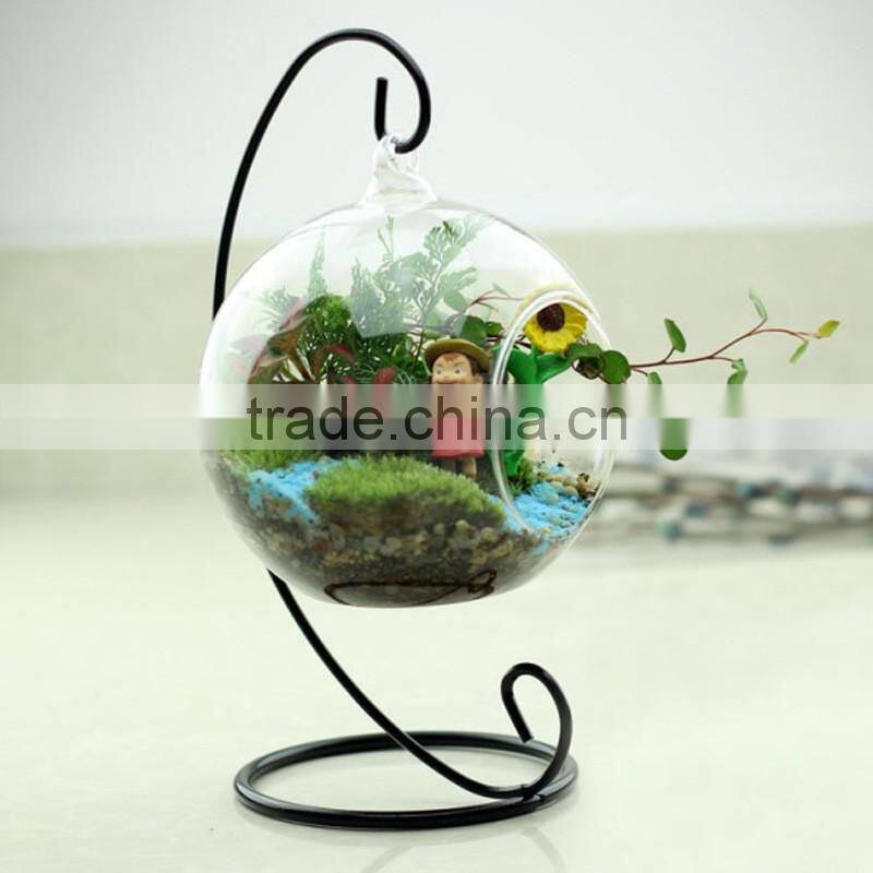 clear glass Vase globe glass Landscape bottle beautiful