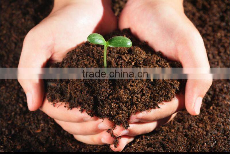 factory direct supply organic seaweed based fertilizer with 100% water soluble
