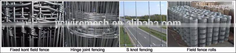 Hinge Joint Lowes Hog Wire Fencing/Fixed Knot Animal Fence/Square Deal Fencing V Mesh for Livestock