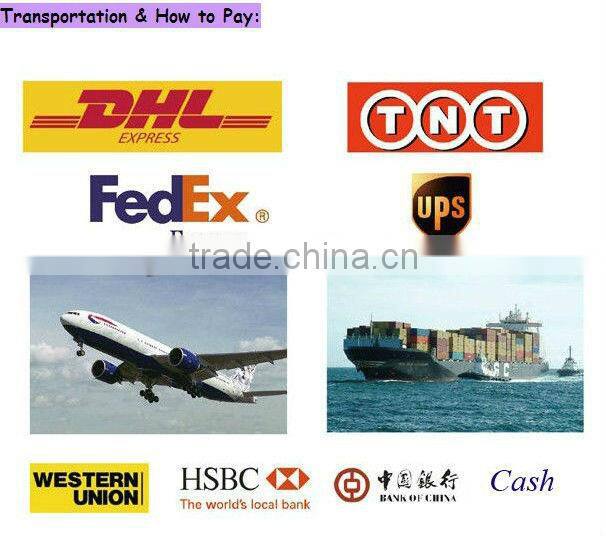 automatic dry garlic peeling machine/garlic clove seperater SMS:0086-15238398301