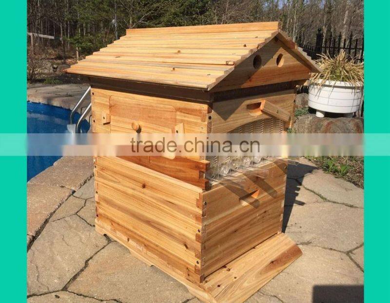 beehive box , super quality flowhive box ,beehive for sale.flowhive with flow frame