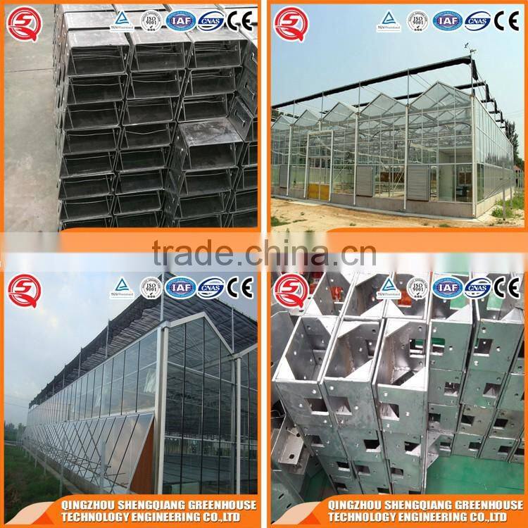 Agriculture hollow tempered glass greenhouse dirp irrigation for sale