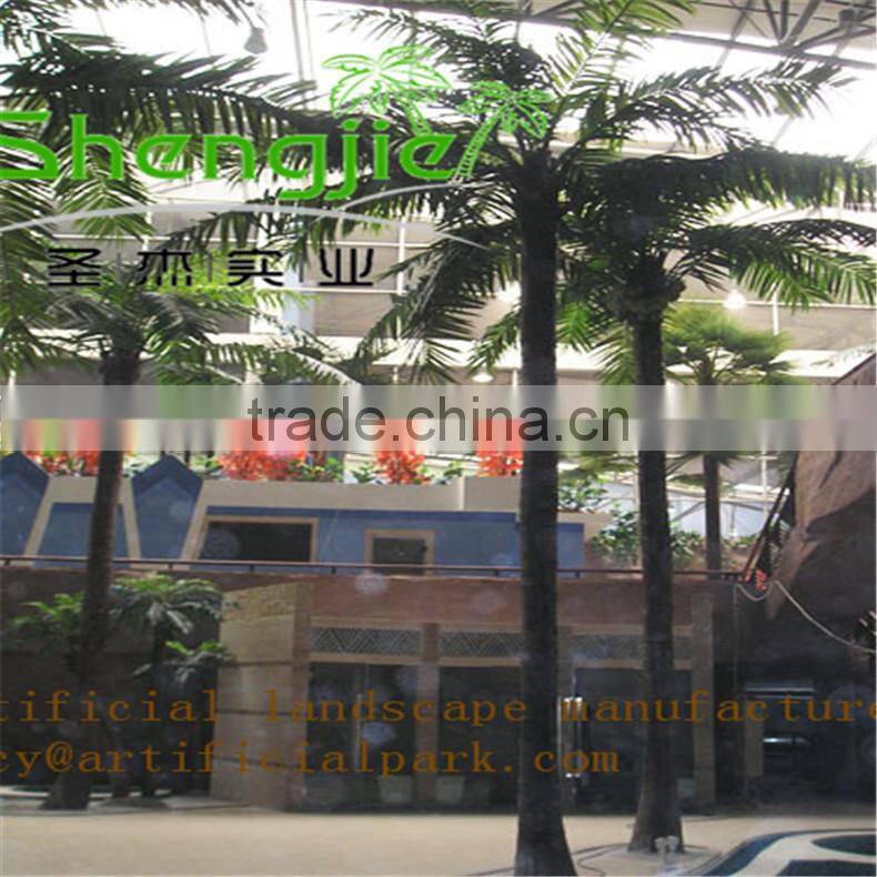 coconut trees pyrene