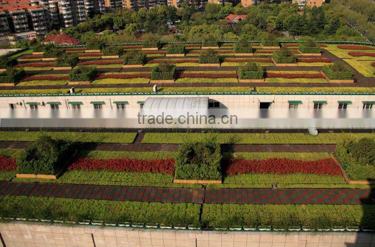 hydroponic systems rooftop garden flower pot