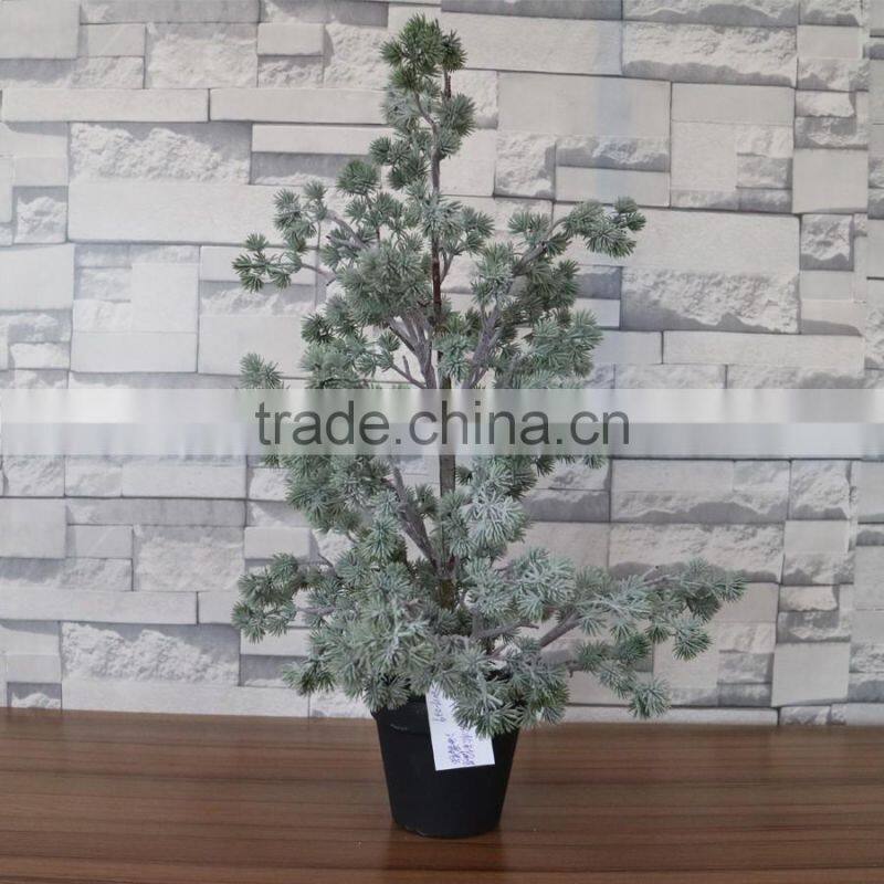 Plastic mini podocarpus tree bonsai