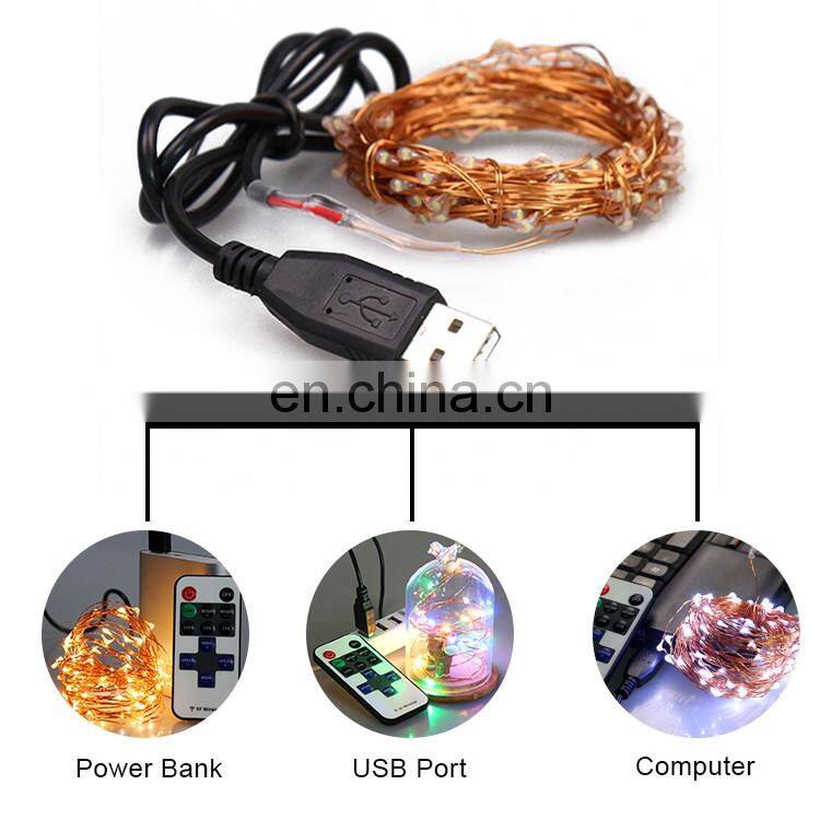 Wholesale Distributors Party Supplies 10M 33FT 100 LEDs 5V USB 12 Keys RF Remote Control White Bulb String Lights