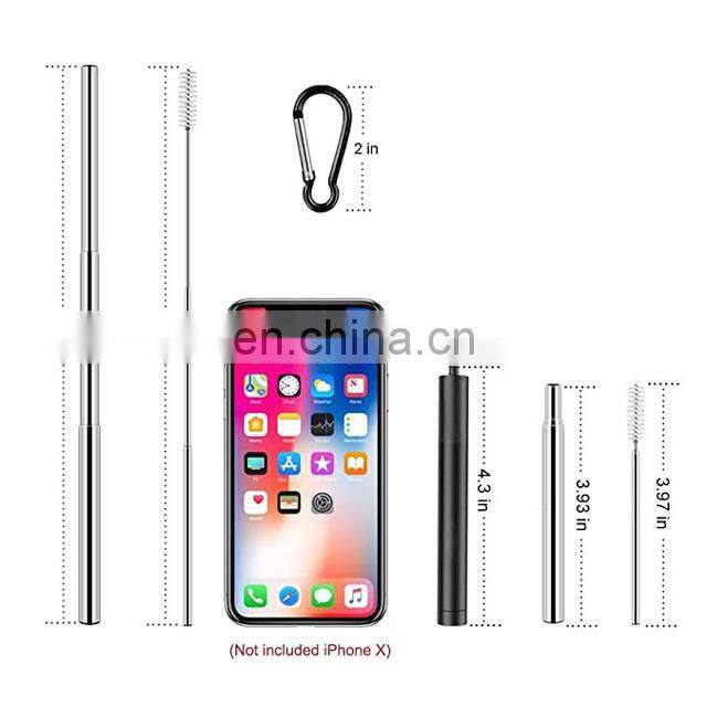 Telescopic Stainless Steel Yerba Mate Straw Spoon with Cleaning Brush