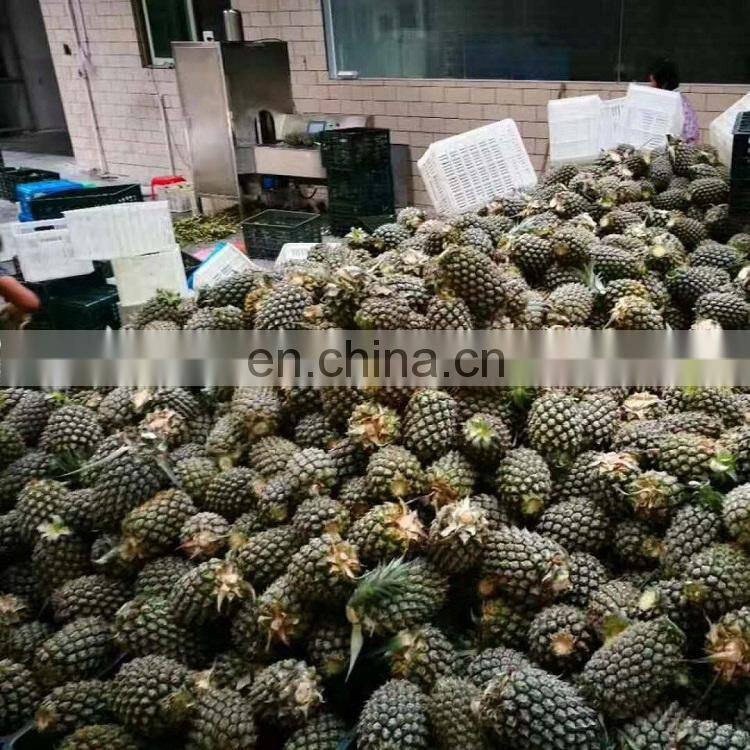 Pineapple Skin peeling machine Pawpaw peeler Fruit peeler