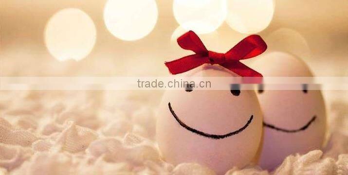 Promotional stainless steel egg cutter/egg slicer/egg separator