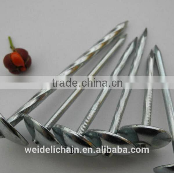 Fastener manufacturer corrugated sheet iron roofing nail