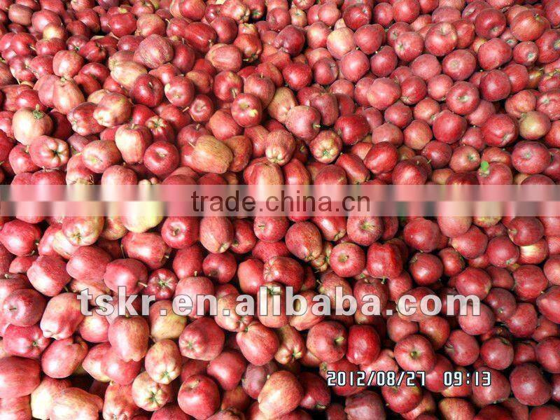 fruit market prices apple