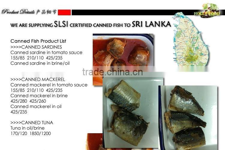 CANNED SARINE SRI LANKA SLSI ISO member high quality premium 425g/210g/155g MackerelTuna in tomato sauce in oil in brine