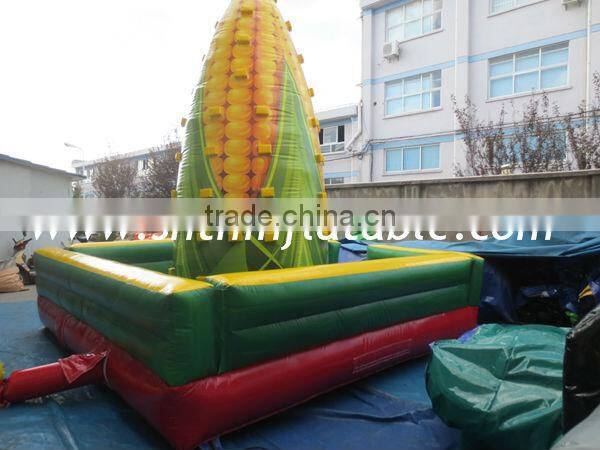 maize inflatable rock climbing
