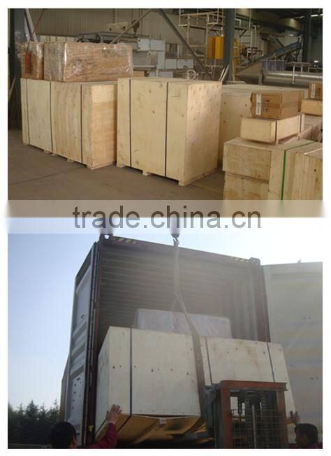 High Automatic Salty Peanut Inshell Production Line Snack Salting Machine