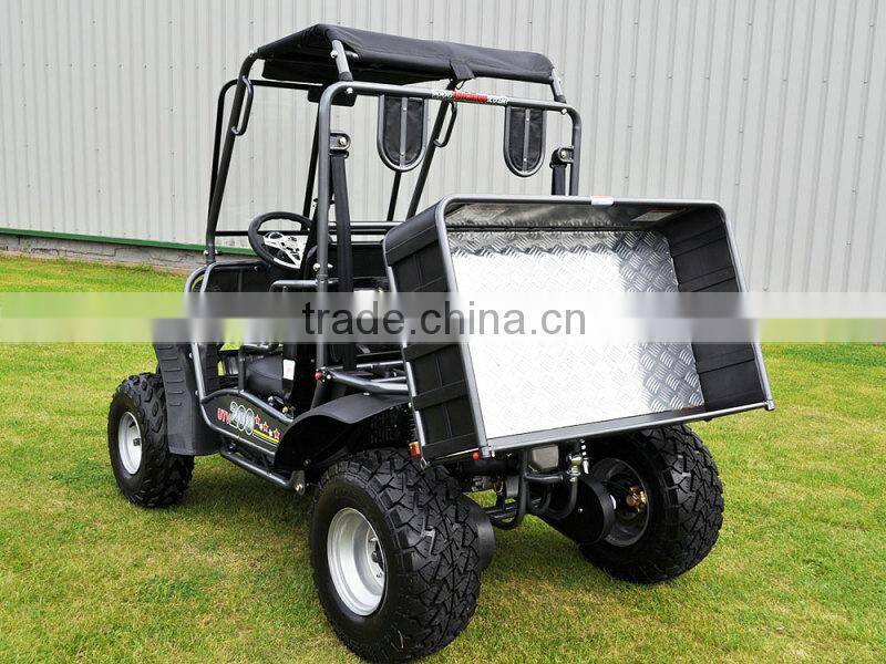 150cc Side by Side Utility Vehicle with high quality(UTV 200B)