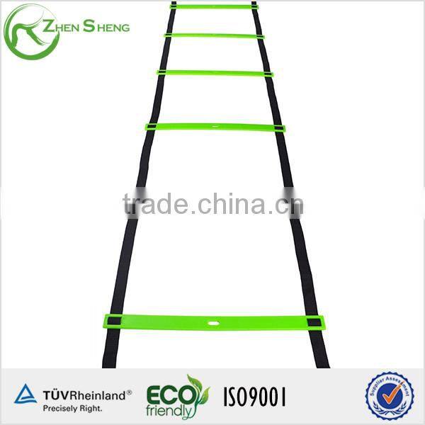 Zhensheng warm up agility ladder