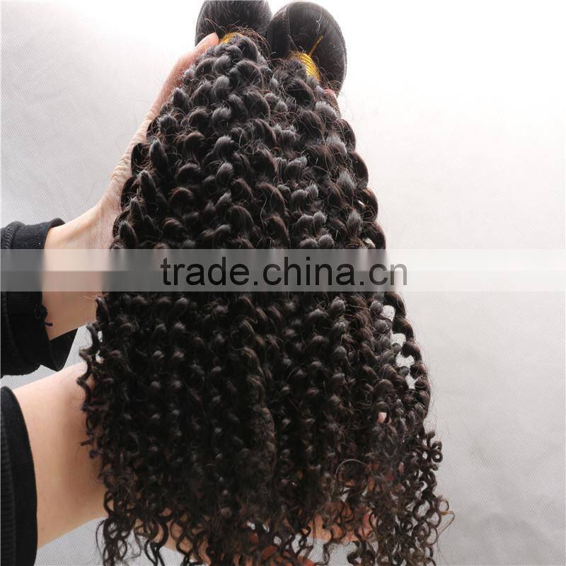Grade 7A Malaysian Virgin Hair Water Wave 4pcs Lot Free Shipping Cheap Malaysian Curly hair 8"-30" Remy Human Hair Weave