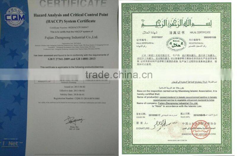 Hot-sell Canned mackerel in tomato sauce 155g