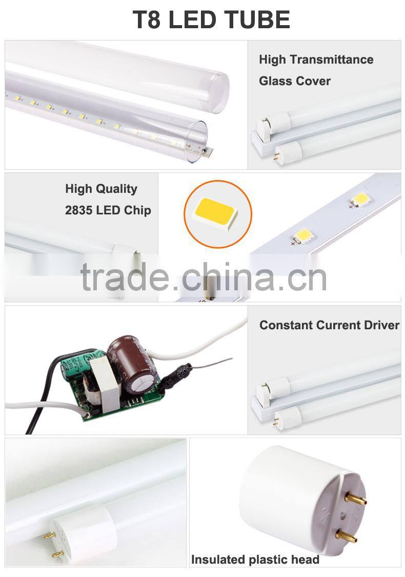 Energy Saving 2 Years Warranty Glass Tube Light T8 LED Tube 600mm