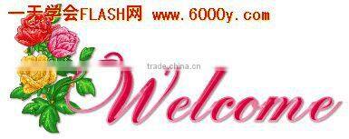 BCR Ring stainless steel captive ball ring Body piercing Jewelry