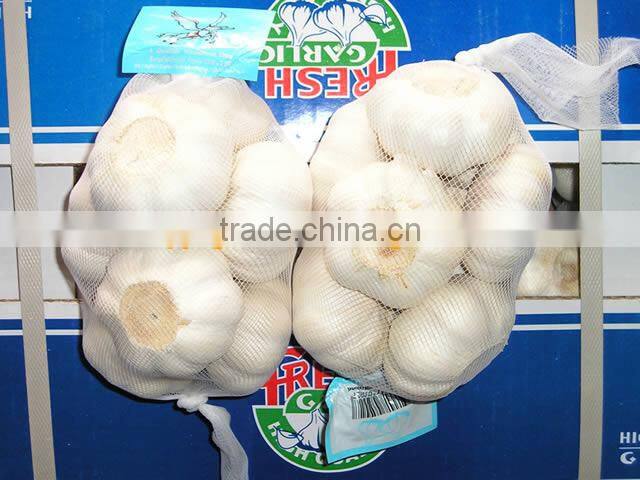 Sell Fresh vegetables-garlic, ginger, onion, potato