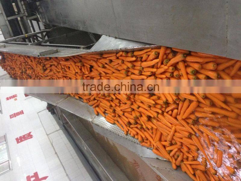 Export Standard Fresh Carrot