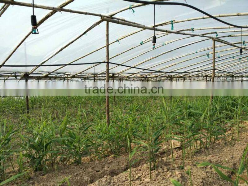 Upside Down Type Rotating Sprinkler Greenhouse Humidifier Drip Irrigation and Sprinkler Irrigation