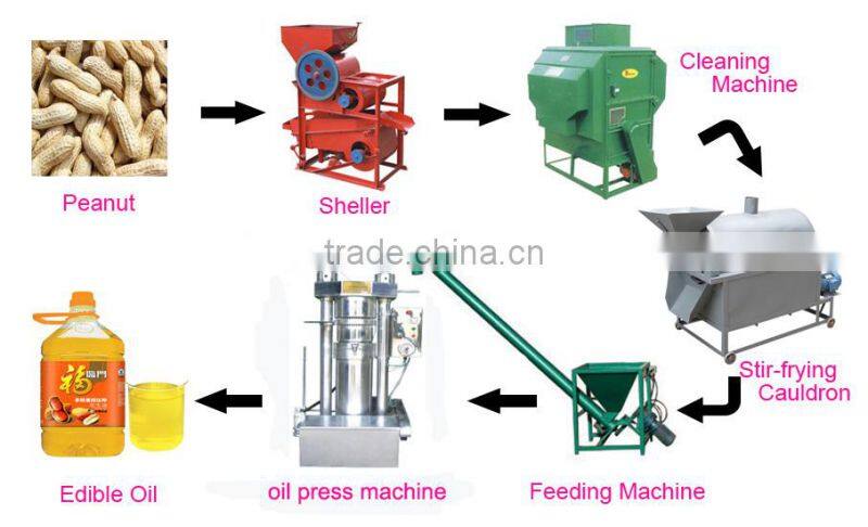 stable mini olive oil press machine