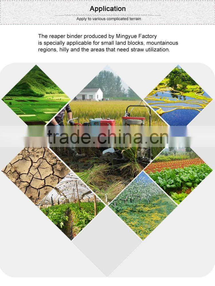 new small grain binder for sale