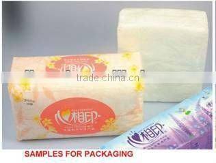 TMP300D-Z Table Napkin packaging machine