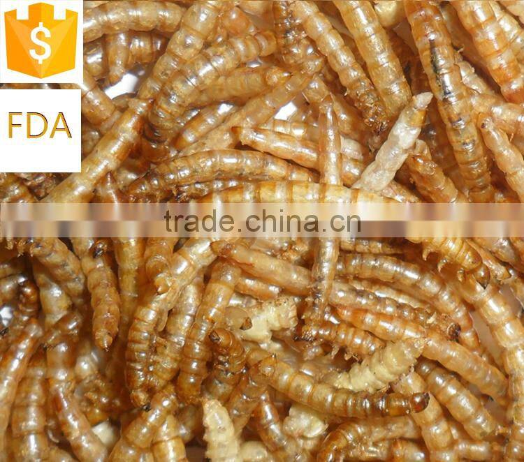 Best selling Dried Mealworm For Wild Bird
