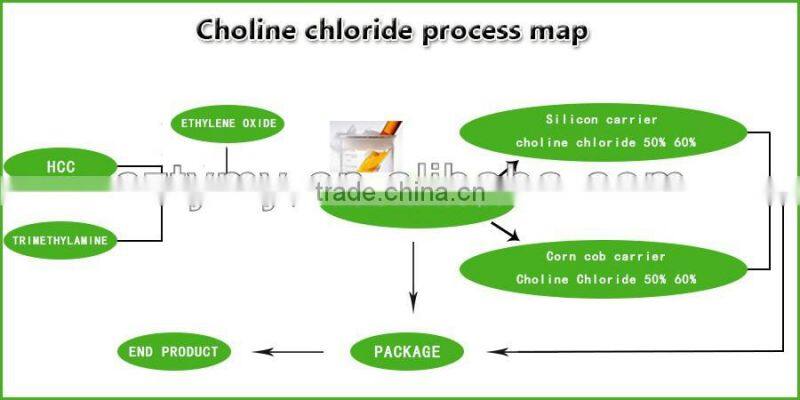 choline chloride 60% for poultry feed
