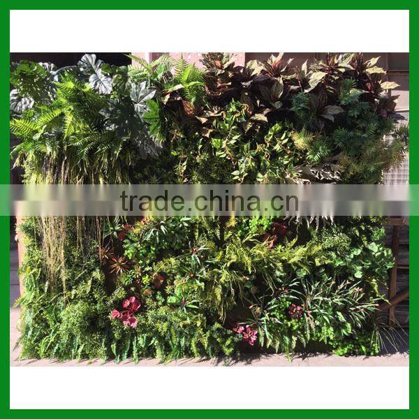 Artificial Outdoor Decorative Green Wall