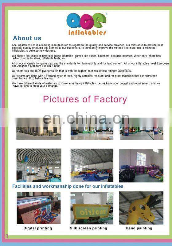 2012 Hot inflatable water park