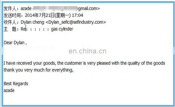 ISO9809 Instrument Carrier Gas Seamless Steel High Pressure Argon Gas Cylinder Price