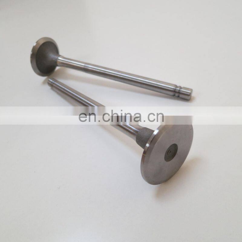 OEM Parts NTA855 Intake Valve 135957 for Diesel Engine