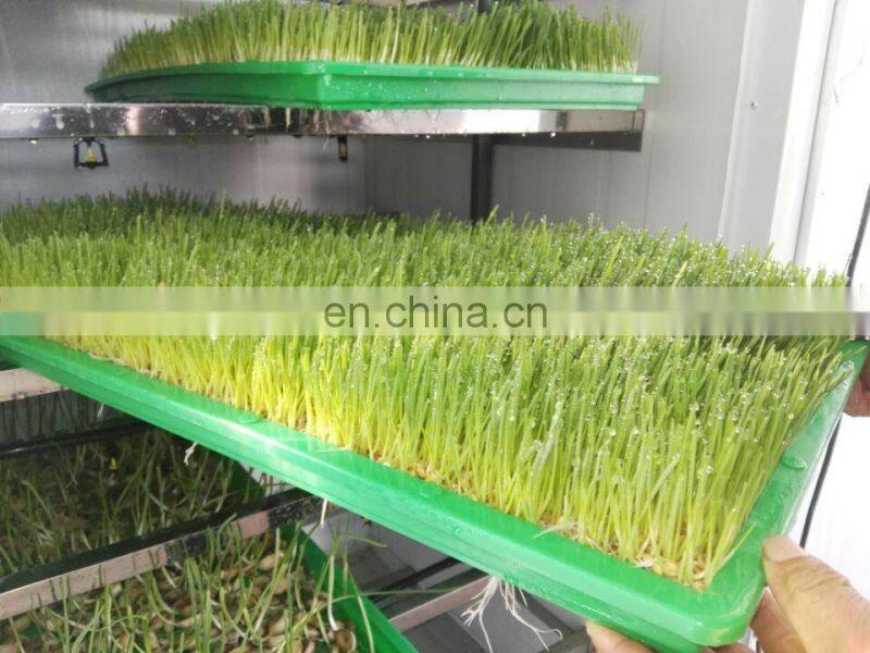 Hydroponic seeds germinate machine/green fodder making barley breeding room/automatic bud seedling equipment