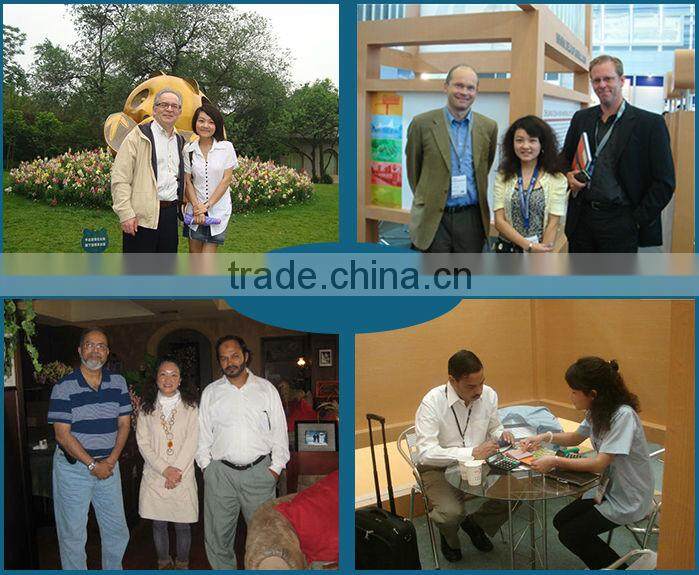 Lisaurus-G new custom silicone figurines