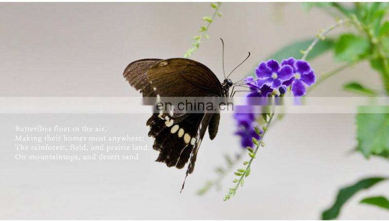 Hannah Martin 13620 Women Watch Luxury 3D Butterfly Rose Gold Mesh Strap Japanese Movement Waterproof Quartz Women Wristwatch