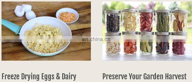 Freeze Drying Plant Sublimator pharmaceutical pilot production inudstrial vacuum freeze dryer