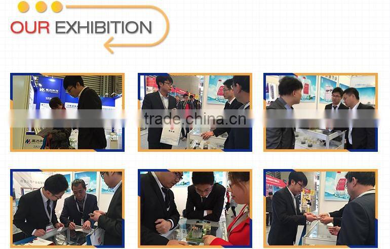 silicone sealant g1200 msds Anti-pollution Flashover Coating